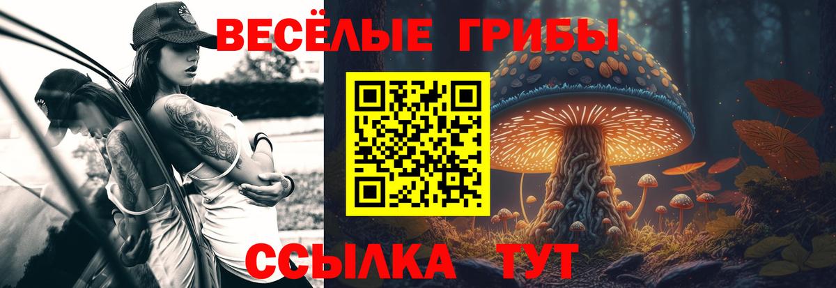 Галлюциногенные грибы Magic Shrooms  Вход с VPN  Орехово-Зуево 